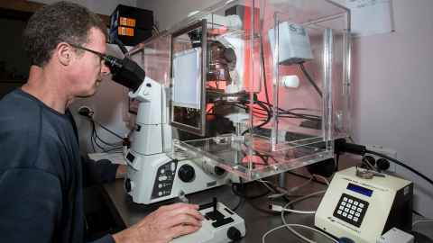 An image of someone using the Andor Revolution spinning disc confocal microscope